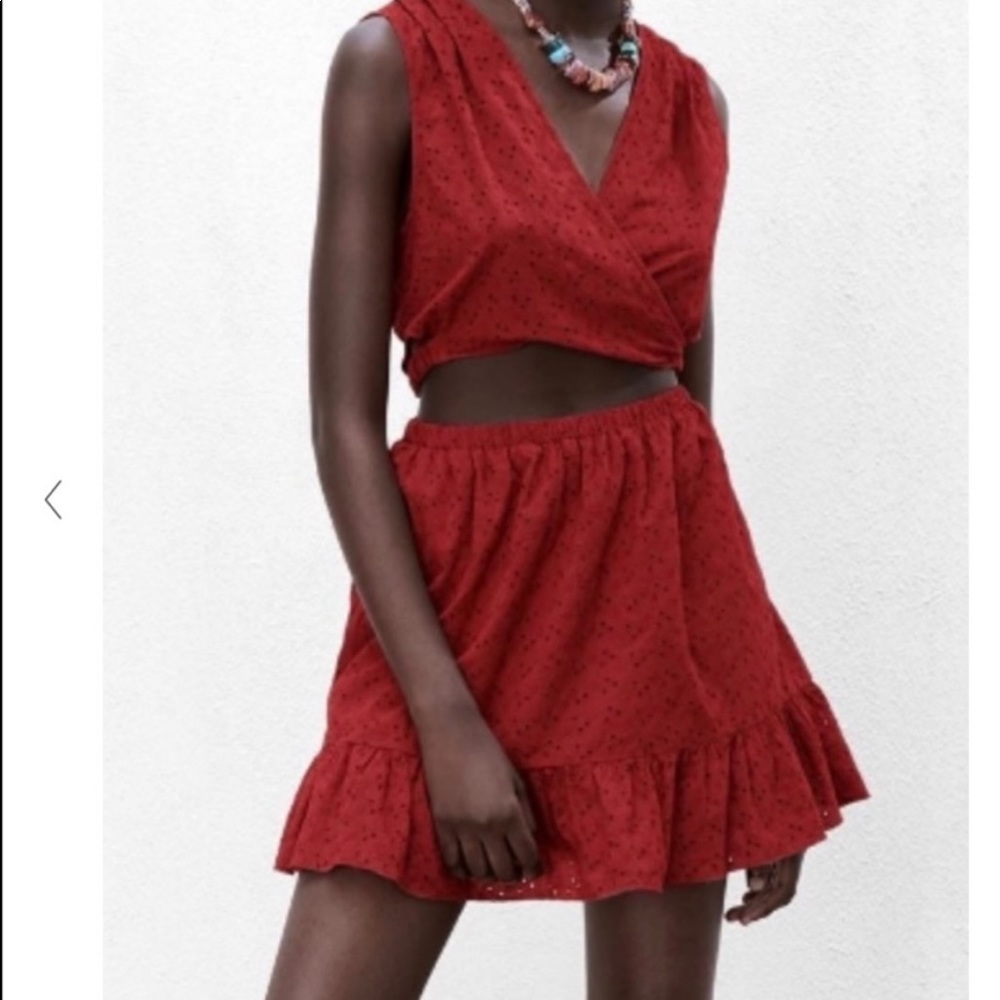 NWOT Zara open embroidered cutout dress